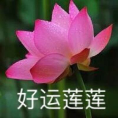 吴艳妮世界田联排名中国第1